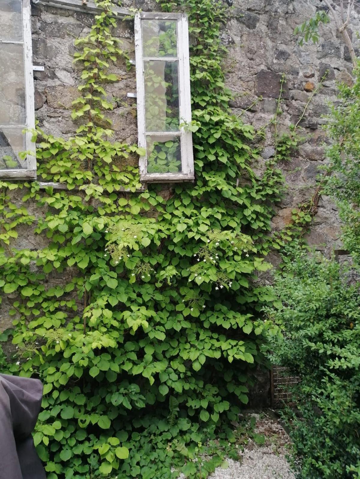 Le Cosy De Claire Villa La Bourboule ภายนอก รูปภาพ